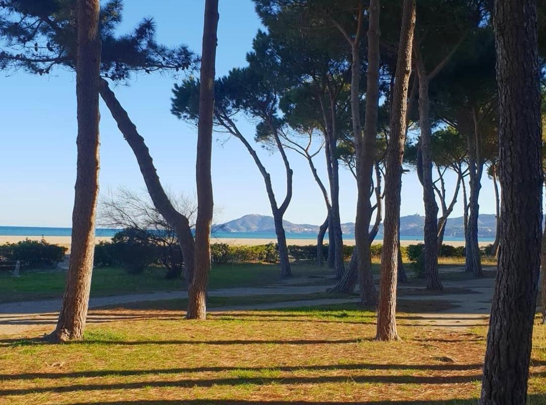 Les Lavandines: Charming Beachside Vacation With Terrace